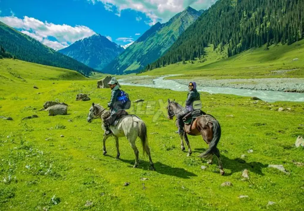 Предлагаю туры по экскурсии